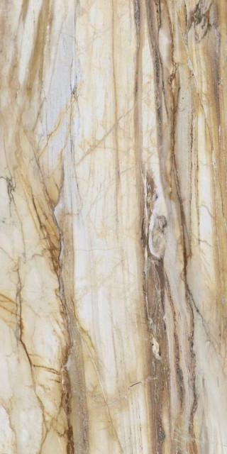 Roca Fossil Mc 100x200