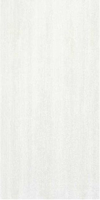 Stylnul (STN) Evolve Pearl 60x120