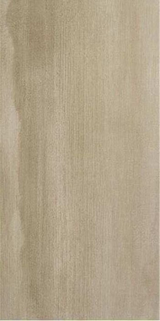 Stylnul (STN) Evolve Brown 60x120
