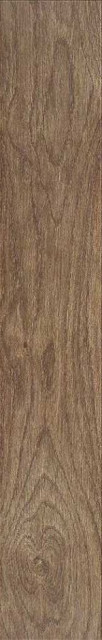 Stylnul (STN) Asbury Forest MT 15x90