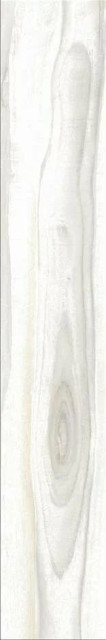 Stylnul (STN) Dreamwood Blanco 23.2x120