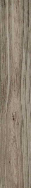 Stylnul (STN) Cypress Taupe 23.2x120