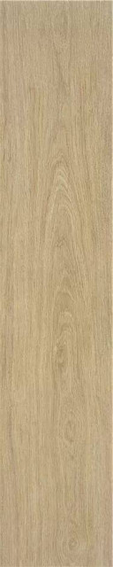 Stylnul (STN) P.E. Lionel Haya MT 30x150H1