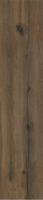 STN Springwood Marron Rect 22,7x119,5