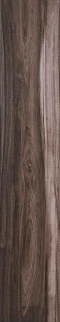 Stylnul (STN) Sambu Tabaco 23x120