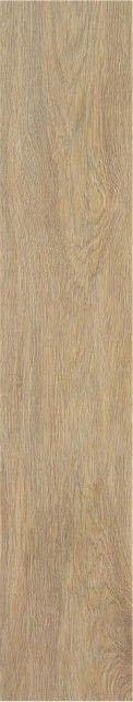 Stylnul (STN) STN Tacora Camel Mt Rect 23×120