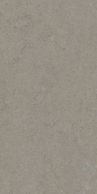 Tau Ceramica Calcare Greige Matt 60x120H0.78