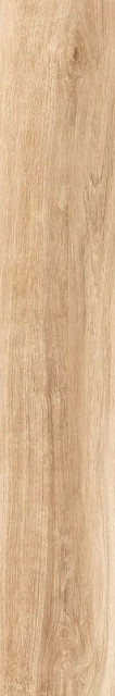 Tau Bohars Camel 20x120