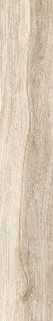 Tau Bohars Olivo 20x120