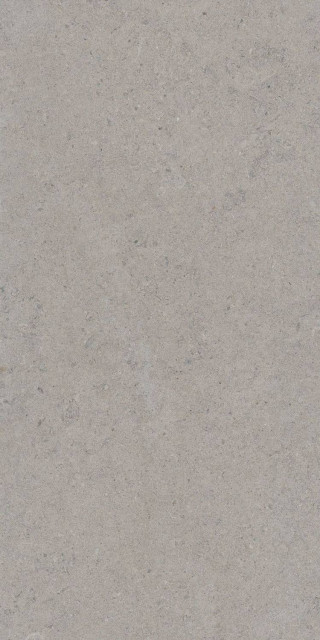 Tau Ceramica Calcare Silver Matt 60x120H0.78