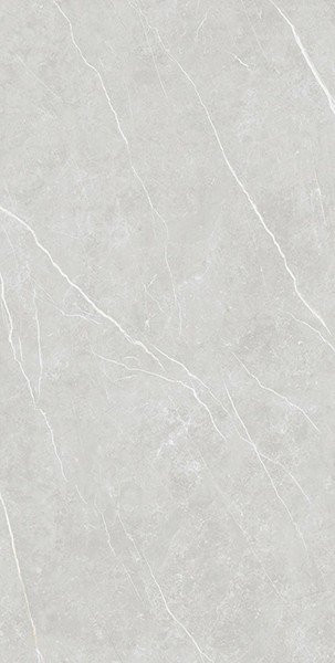 Tau Ceramica Elite Silver Nat 6mm 120x280
