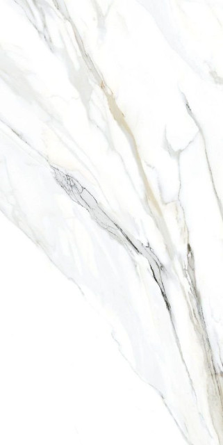 Tau Emporio Calacatta Nat 60x120