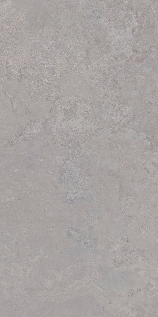 Tau Ceramica Dorset Silver Matt Rec 60x120H0.9