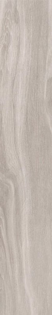 Tau Origin Silver 20x120