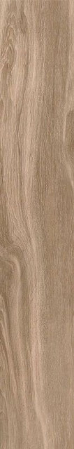 Tau Origin Umber 20x120
