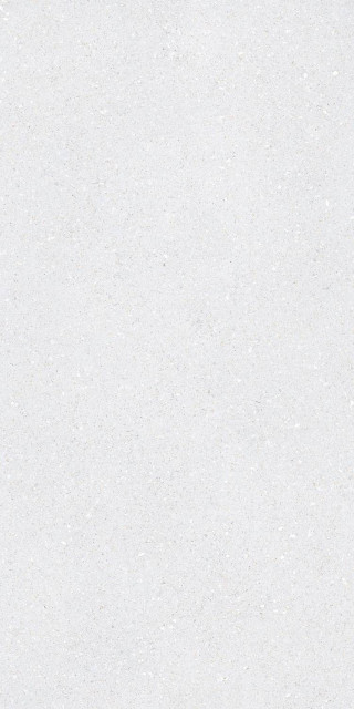 Tau Ceramica Sassy White Rec 60x120H1.05
