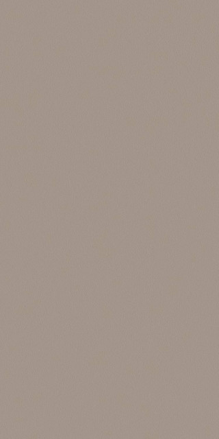 Tau Ceramica Tornares Zumaia Greige Rec 60x120