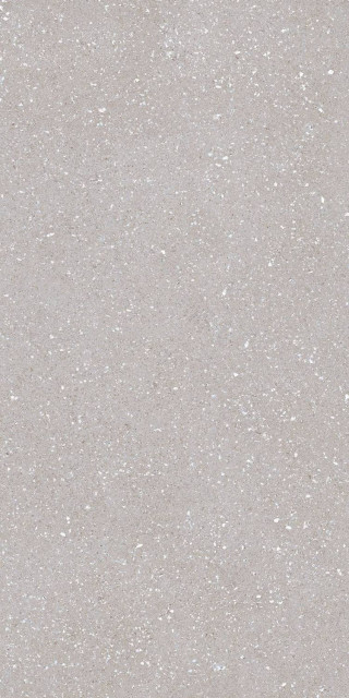 Tau Ceramica Sassy Silver Rec 60x120H1.05