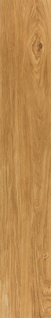 Tau Ragusa Camel 20x120
