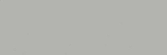 Tau Ceramica Tornares Hiru Silver Rec 16.3x51.7
