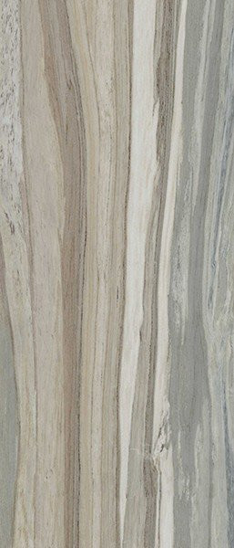 Tau Ceramica Palisandro Gray Pul 6mm 120x280