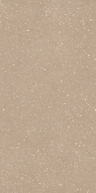 Tau Ceramica Sassy Greige Rec 60x120H1.05