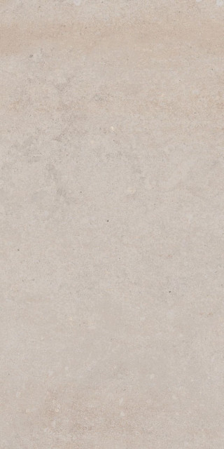 Tau Wornstone White Natural 60x120