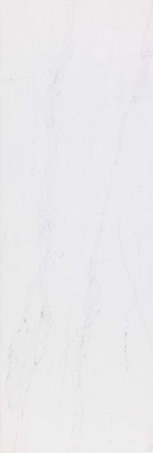 Venis Rivoli Matt 33,3х100