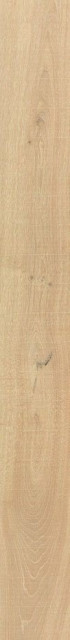 Venis Starwood Vancouver Nude 16.5x150