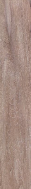 Venis Tanzania Wine 25x150