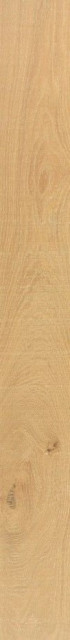 Venis Starwood Vancouver Honey 16.5x150