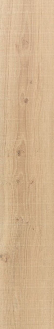 Venis Starwood Vancouver Nude 25x150