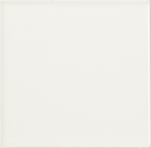 Vilar Albaro Monocolor Liso Mate Blanco 10x10