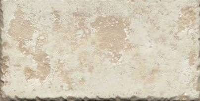 Vives Iberia Tabica Nacar 15.5x31.6