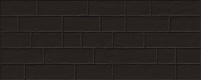 Vives Marlon Edale Negro 20х50