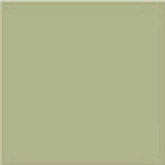 Vives Monocolor Musgo 20x20