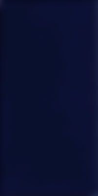 Vives Monocolor Azul Noche 14x28