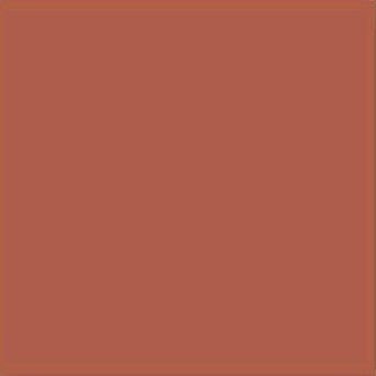 Vives Monocolor Teja 20x20