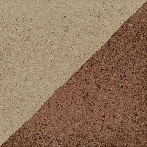 Vives Root Endo Bold 13x13