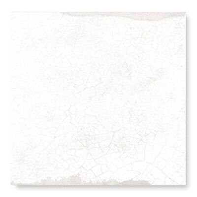 Wow Blanc Et Bleu Antique 18,5x18,5