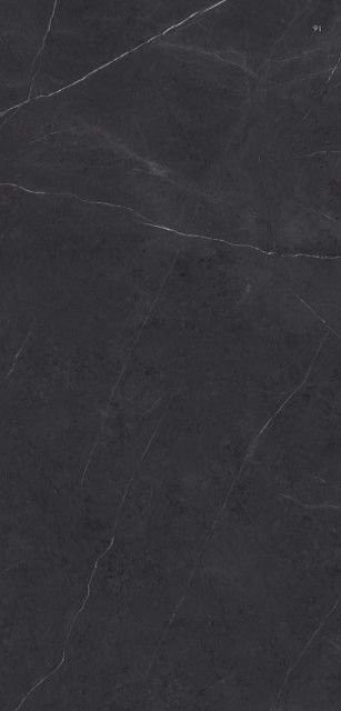Xlight Premium Liem Black Nature (6 мм) 120x250