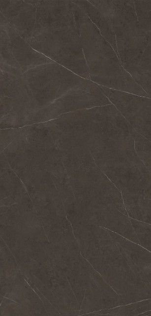 Xlight Premium Liem Dark Nature (6 мм) 120x250