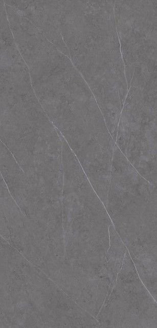 Xlight Premium Liem Grey Polished (6 мм) 120x250