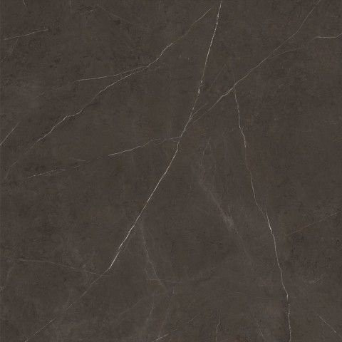 Xlight Premium Liem Dark Polished (6 мм) 120x120