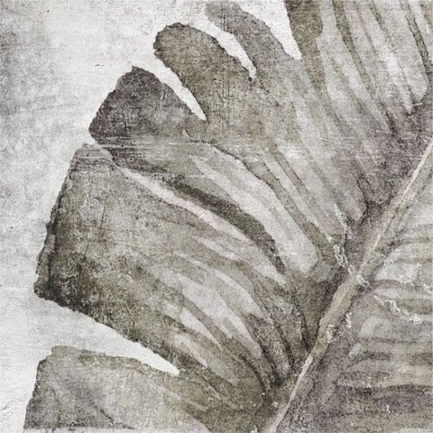 ZYX Amazonia Tropic Grey 13,8x13,8