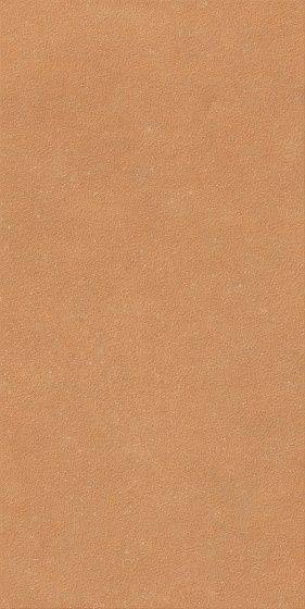 41zero42 Nok Grains Terra 60x120