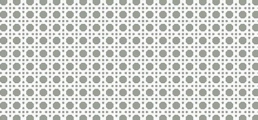 41zero42 Sunday Twist Salvia 10x20