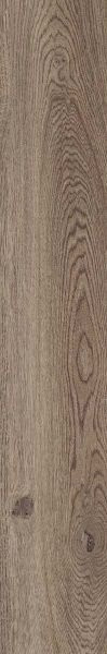 ABK Poetry Wood Oak Nat R20x120