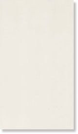 Splash BIANCO NEVE 25х45