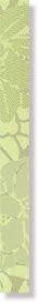 LIST.BOUQUET VERDE PRATO 4,5х45